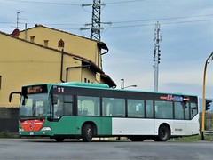 H.G.L - Holding Linien AG Graz (A) buses