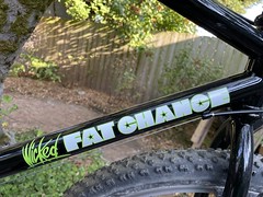 Wicked Fat Chance