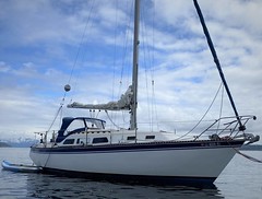 Newport 33' sailboat