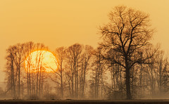 Sonnenauf- und untergang - Sun rise and set