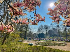 Springtime 2022 in Leuven city