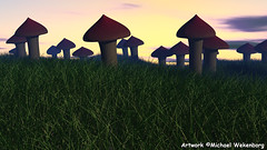 Mushrooms In the Sunset