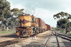 SA - Trains Eyre Peninsula