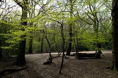 London: woods, trees, parks