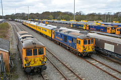 GB Railfreight (GBRF) Class 73s.