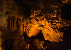 Mammoth Cave 2022