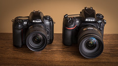Nikon D100 (2002) / Nikon D810 (2014)