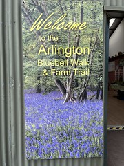 The Arlington Bluebell Walk and Farm Trail