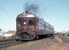 NSW - 600, 620, 660 Class DMU