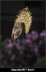 Ilustre Cofradía Penitencial de Nuestra Señora de las Angustias