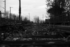 Nr. 164 - abandoned railroad tracks