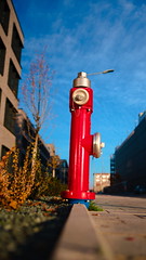 Nr. 167 - hydrant persepctive