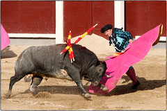 Corrida (Bullfight), Madrid - 2022