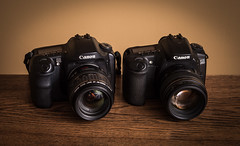 Canon EOS-10D (2003) / Canon EOS-20D (2004)