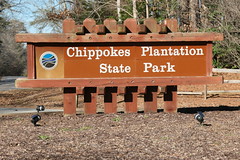 Chippoke's Plantation State Park, Surry VA January 2022