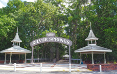 Silver Springs FL