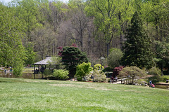 Brookside Gardens 24 Apr 2022  (397)