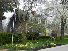 Niagara Blossoms, Part 1, May 5'22