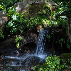Mt Coot Tha Botanic Gardens