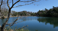 Kurondo-ike Pond, Spring Walk, Takayama, Ikoma @Nara,Apr2022