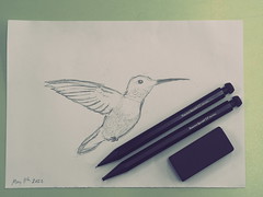 Pencil sketches
