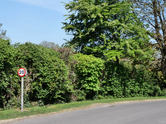 Aston Rowant (Signs and Notices)
