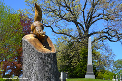 Woodlawn Cemetery - Carved Animals