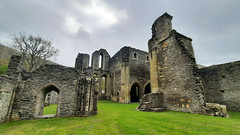 Valle Crucis Abbey - Wales