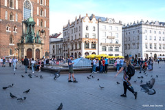 Krakow (PL)