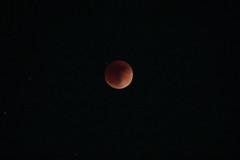 2022-05-15 - Lunar Eclipse