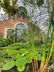 Tropical greenhouses Botanical garden Leuven