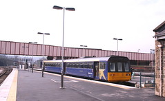 class 142s in "gold star" livery