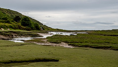 Ogmore By Sea