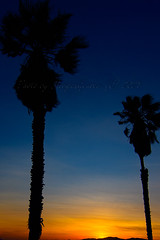 Santa Monica Sunset 052722