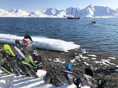 Svalbard Day 8 - May 2022