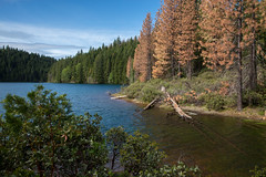 Placer County Landscapes