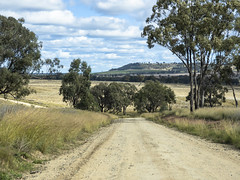 Delungra NSW and vicinity