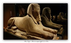 Musée des antiquités égyptiennes de Turin - Museo Egizio