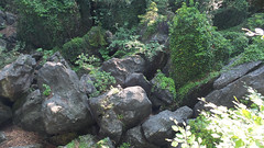 das Felsenmeer