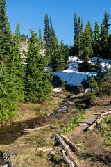 Mt Rainier National Park - 2021