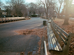 Fulton Park in the morning