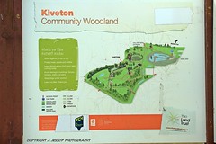Kiveton Community Woodland 11/06/2022