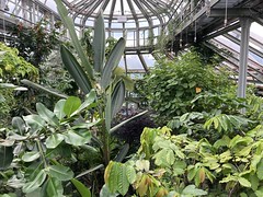 Gewächshäuser Botanischer Garten Berlin