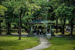 03大安森林公園