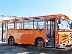 ASP Asti buses