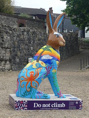 Hares of Hampshire