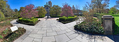 Brooklyn Botanical Garden Panoramic