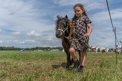 Nederlands Shetland Pony Stamboek op de 'Zeeuwse dag van het paard"2022