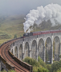 Heritage steam locomotives.