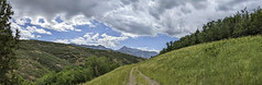 Trail above Alpine Utah